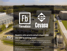Tablet Screenshot of cevasa.com.ar